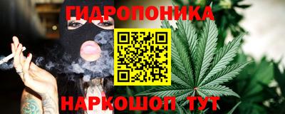твердый Заводоуковск